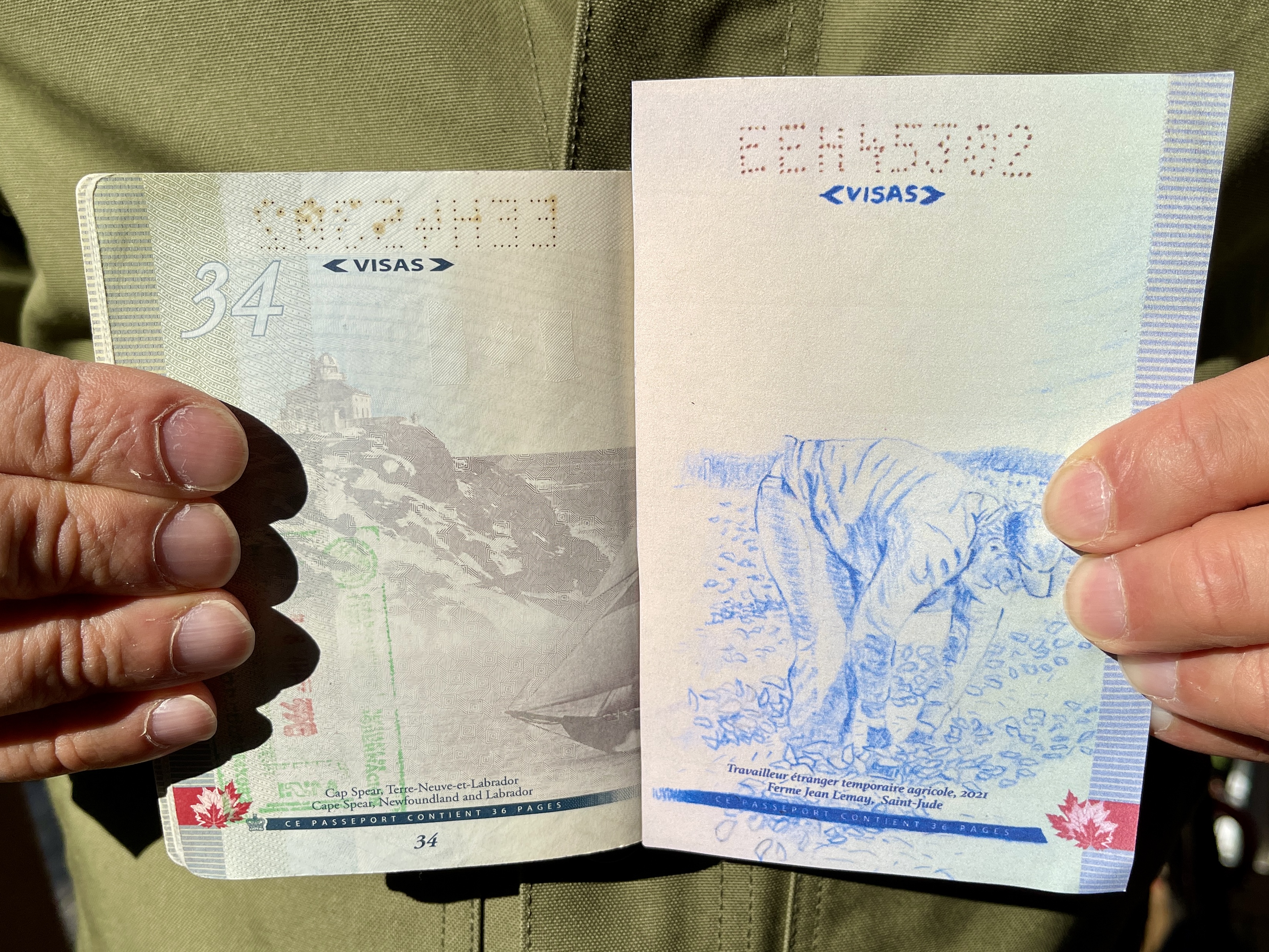 Bill Burns's drawing details