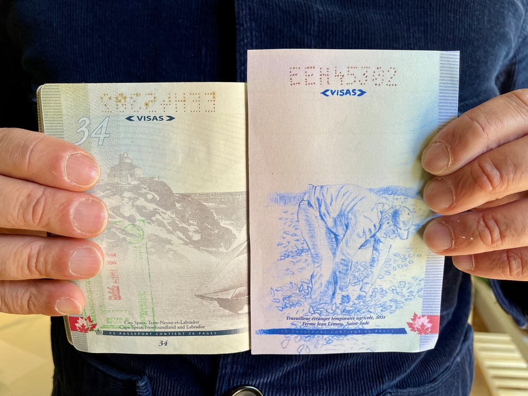 Romeo Gongora, TET 01, dessin et impression sur papier, 2022.<br />
Réalisé dans le cadre de l’événement Passeport organisé par DARE-DARE, Montréal.<br />
Courtoisie de l’artiste.