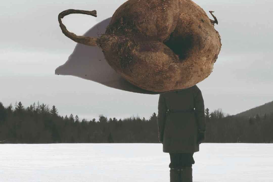 Parc Camirand Le Tremplin 16-30 Art Hive, 2023.